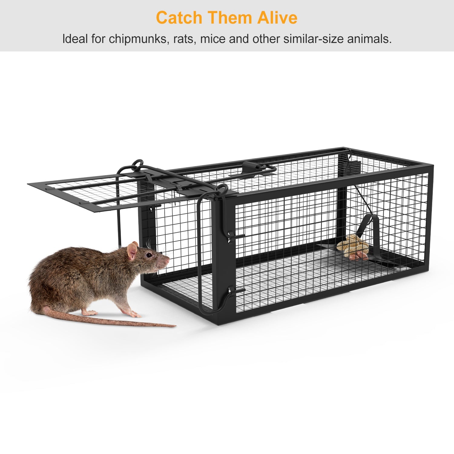 KFX-5236029 Humane Live Rodent Trap Cage - 2 Pack Galvanized Iron Design for Mice Control with Detachable U Shaped Rod