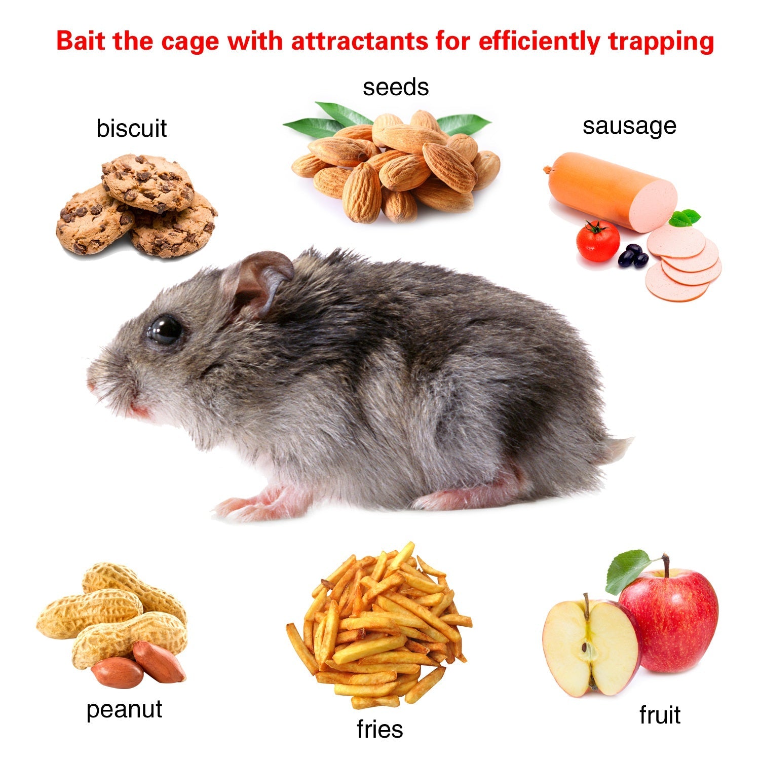 KFX-5236029 Humane Live Rodent Trap Cage - 2 Pack Galvanized Iron Design for Mice Control with Detachable U Shaped Rod