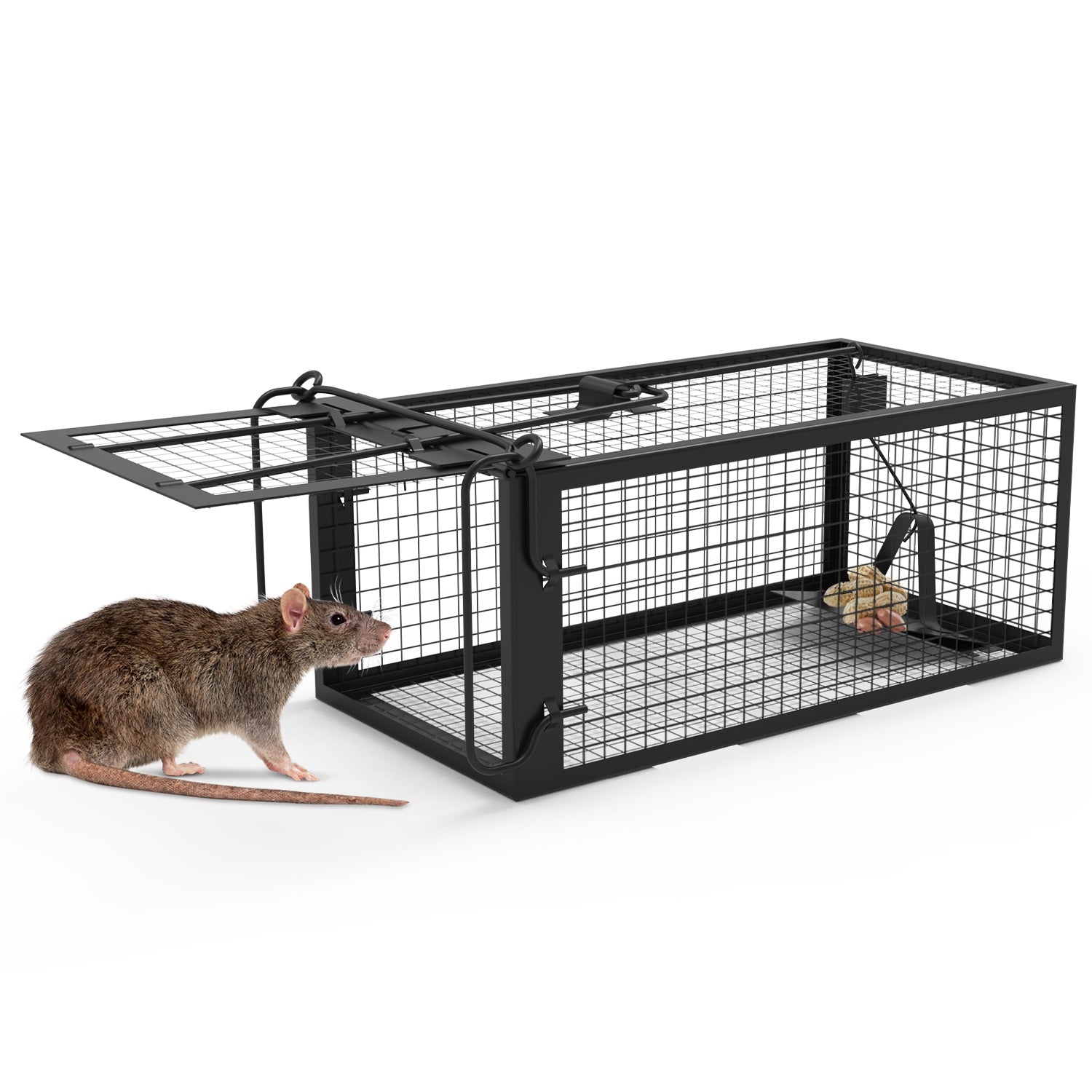 KFX-5236029 Humane Live Rodent Trap Cage - 2 Pack Galvanized Iron Design for Mice Control with Detachable U Shaped Rod