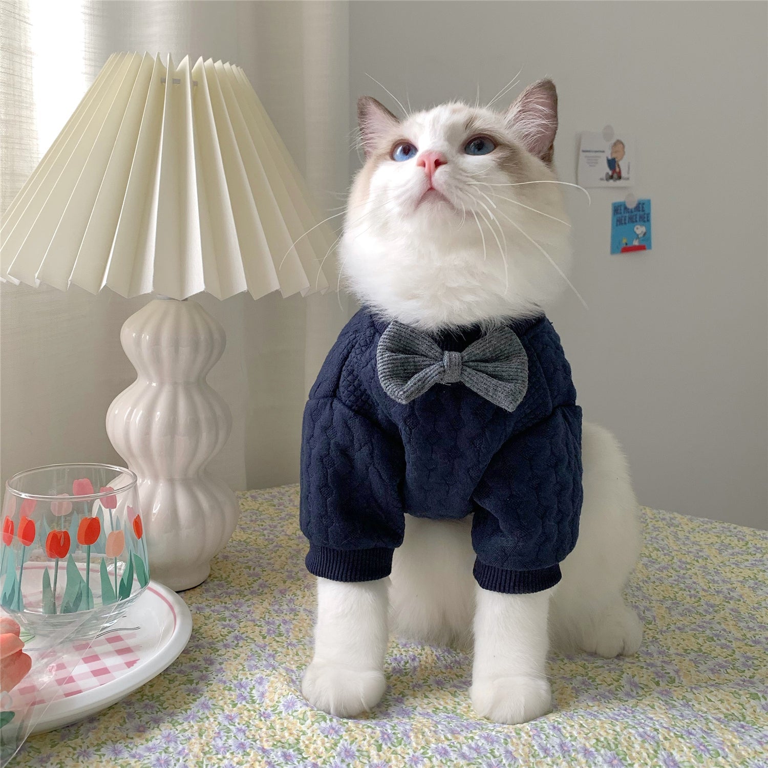 KFX-5236541 Cozy Casual Dark Blue Pet Clothes for Small to Large Dogs