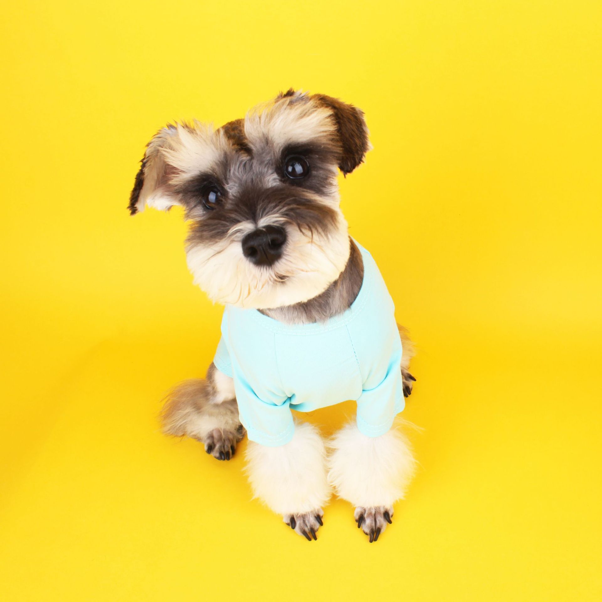 KFX-5238717 Cotton Summer T-Shirt for Small and Medium Dogs and Cats - Various Colors Available