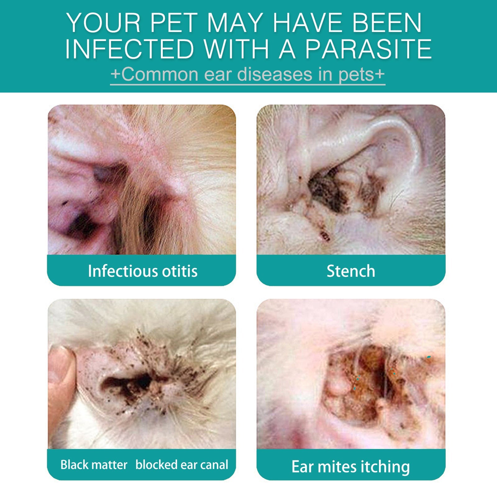 KFX-5251517 Ear Cleaning Finger Stall for Pet Care - 50 Cotton Cloth Tips for Dogs and Cats