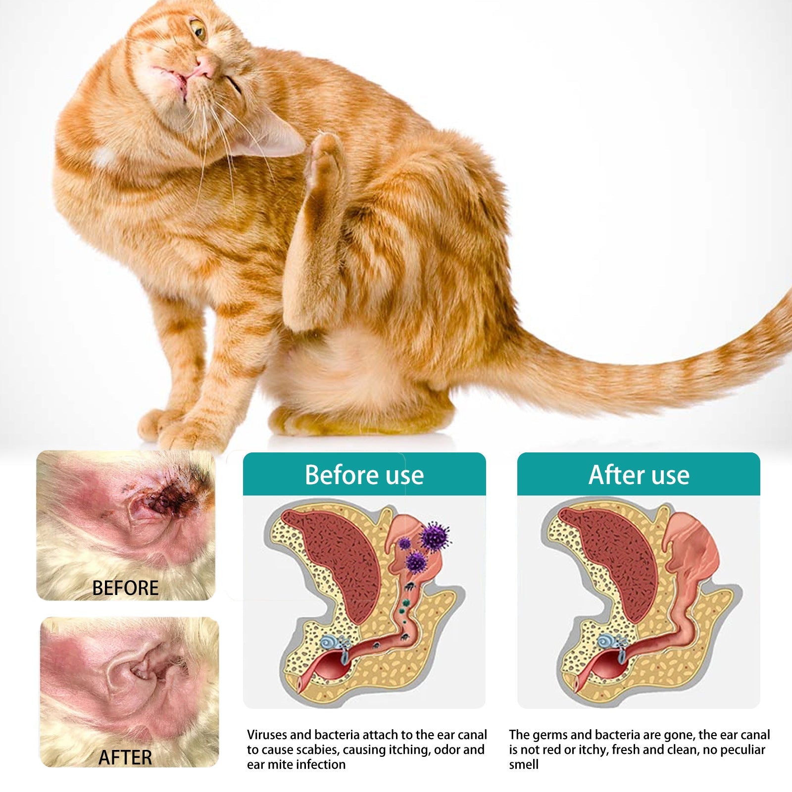 KFX-5251517 Ear Cleaning Finger Stall for Pet Care - 50 Cotton Cloth Tips for Dogs and Cats