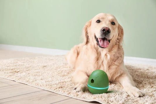 KFX-5254461 Egg Shaped Dancing Toy for Pets - Interactive Snack Dispenser with Whistle, Light and Motion
