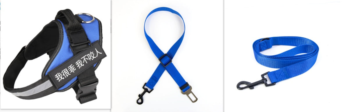 KFX-5258685 Durable Nylon Dog Leash with Reflective Design and Stainless Steel Ring