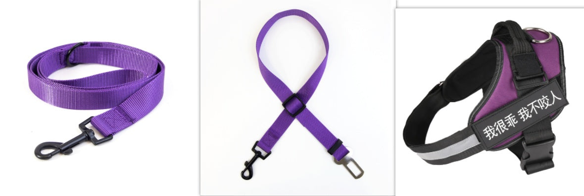 KFX-5258685 Durable Nylon Dog Leash with Reflective Design and Stainless Steel Ring