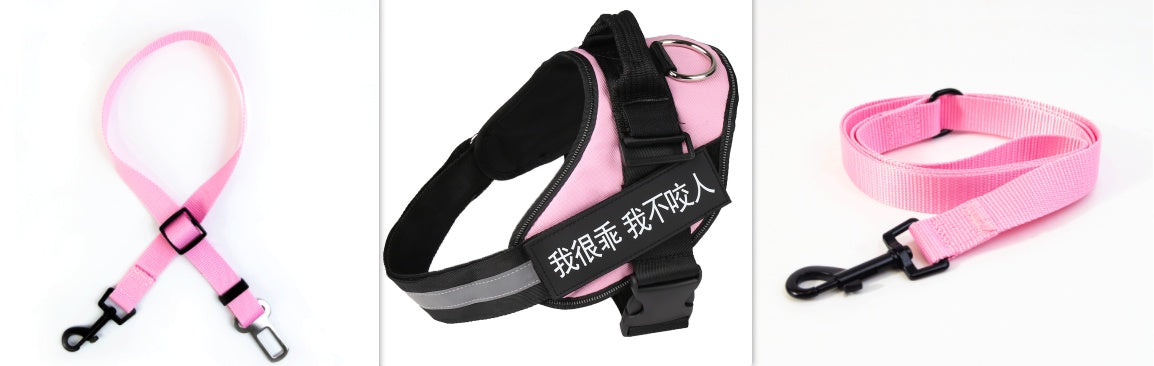 KFX-5258685 Durable Nylon Dog Leash with Reflective Design and Stainless Steel Ring