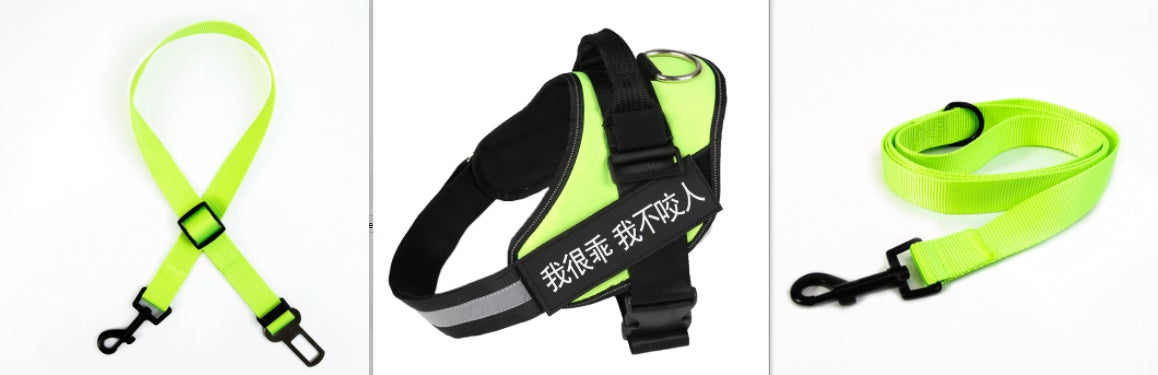 KFX-5258685 Durable Nylon Dog Leash with Reflective Design and Stainless Steel Ring