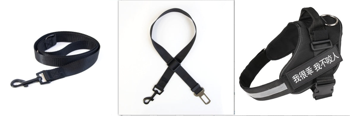 KFX-5258685 Durable Nylon Dog Leash with Reflective Design and Stainless Steel Ring