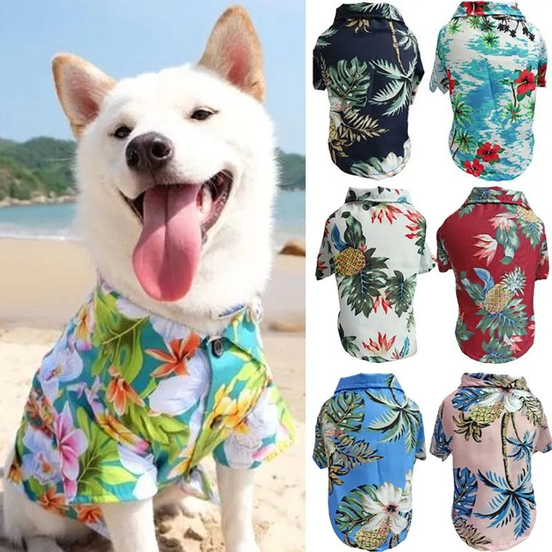 KFX-5259965 Stylish Pet Apparel in Various Colors and Sizes for Small to Large Dogs