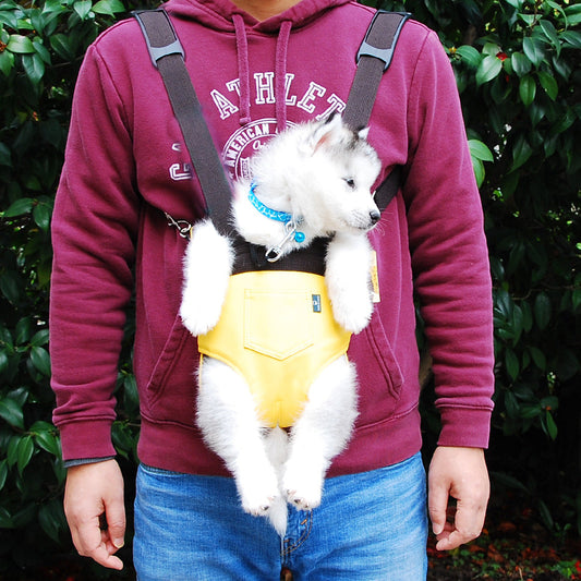 KFX-5261629 Soft PU Pet Backpack in Pink, Blue, Gray, and Brown - Available in Multiple Sizes