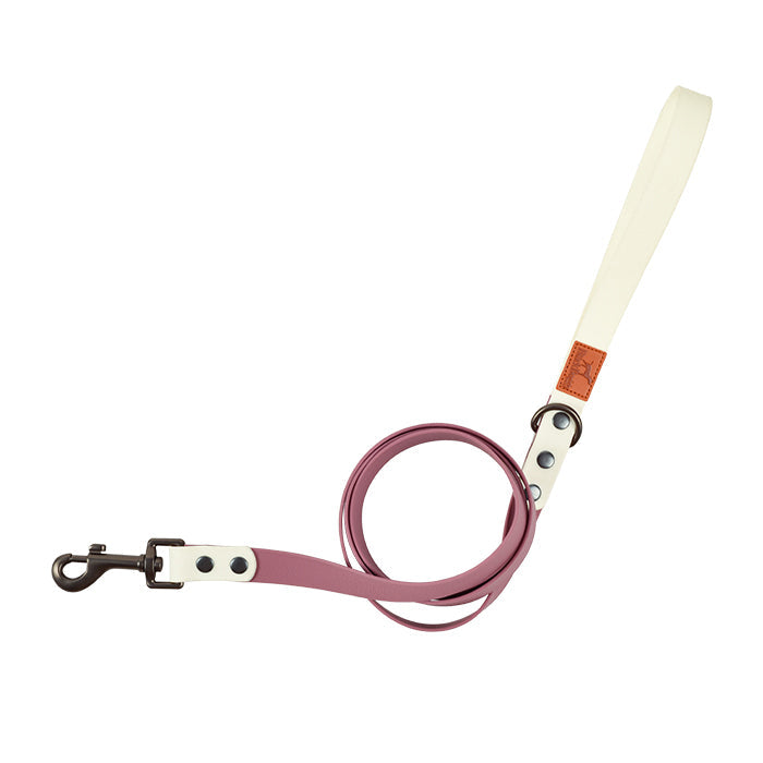 KFX-5264957 Retro Dog Collar and Traction Rope Set - PVC Polymer for Comfortable Walking