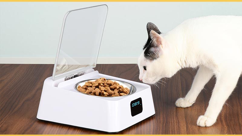 KFX-5265341 Smart Automatic Feeder for Cats and Dogs - Moisture-Proof Design, 350ml Capacity