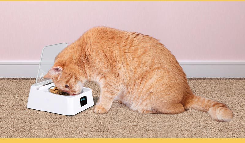 KFX-5265341 Smart Automatic Feeder for Cats and Dogs - Moisture-Proof Design, 350ml Capacity