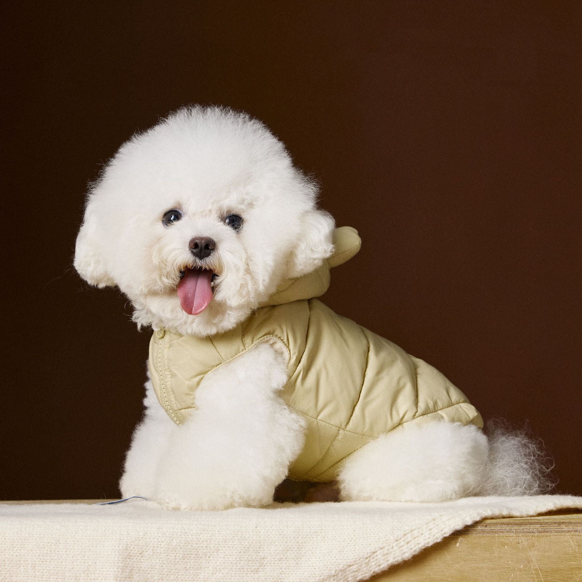 KFX-5269693 Beige and Gray Sleeveless Hooded Down Vest for Pets, Casual Polyester Apparel
