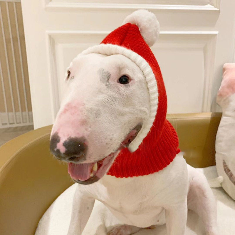 KFX-5269949 Cozy Red Woolen Hat for Pets - Sizes S to XL for Autumn and Winter