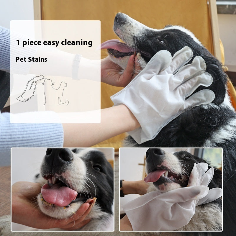 KFX-5278525 Disposable Wet Cleaning Gloves for Pets - 6 Piece Set