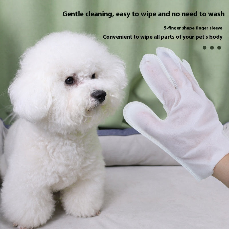 KFX-5278525 Disposable Wet Cleaning Gloves for Pets - 6 Piece Set