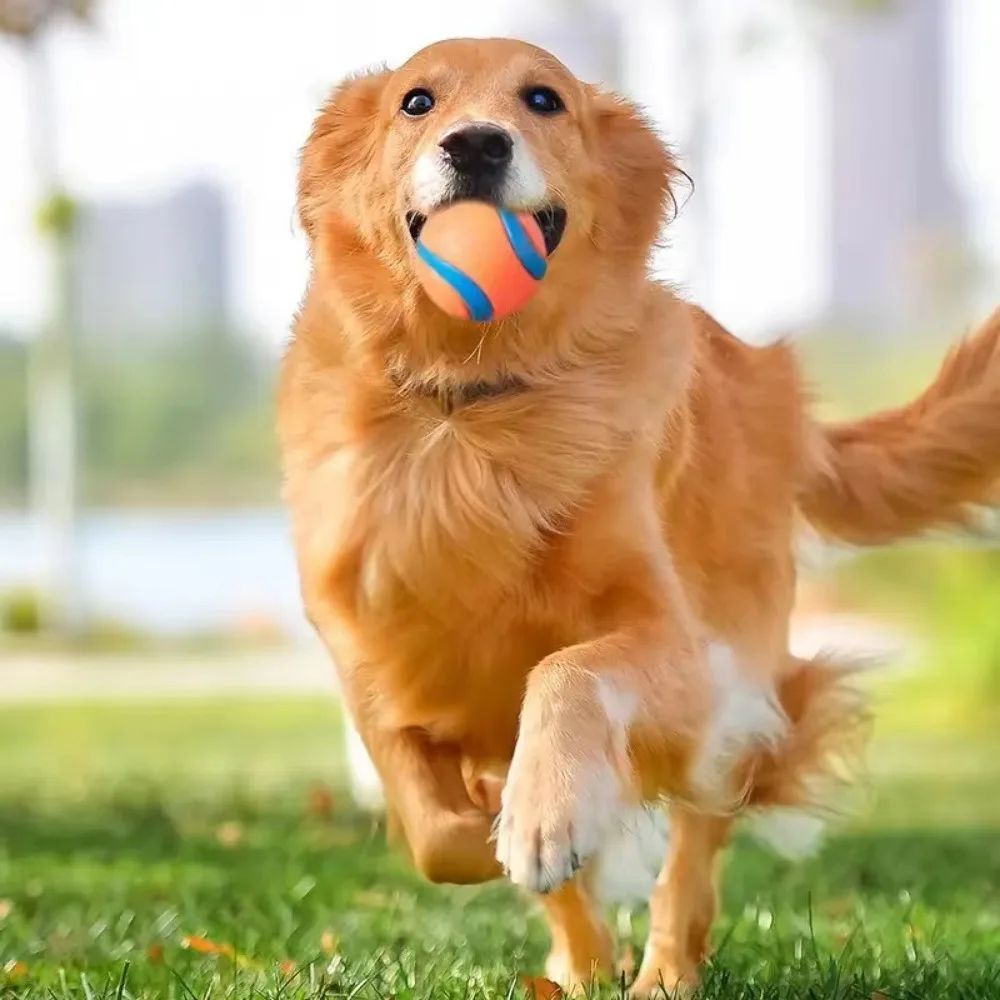 KFX-5279293 Durable Rubber Inflatable Ball for Dogs and Cats - Chew Toy in Orange, 5cm & 6cm Sizes