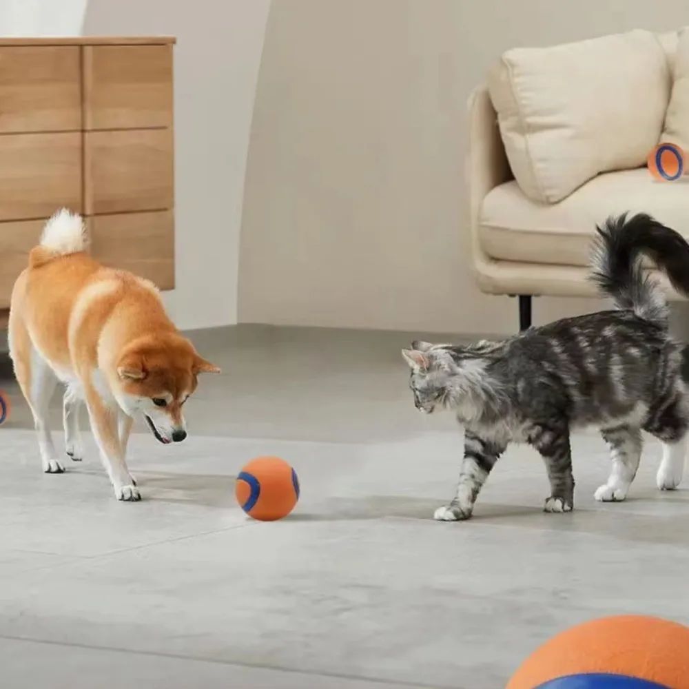 KFX-5279293 Durable Rubber Inflatable Ball for Dogs and Cats - Chew Toy in Orange, 5cm & 6cm Sizes