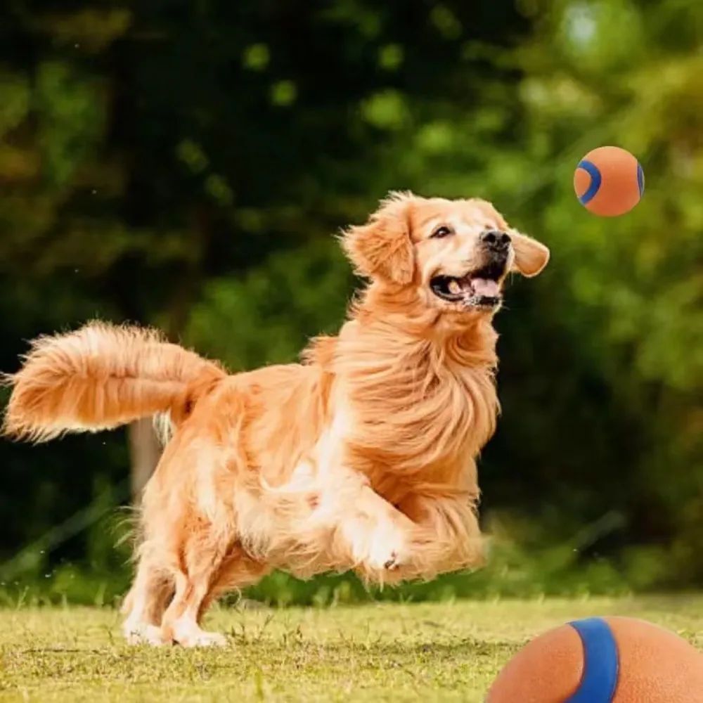 KFX-5279293 Durable Rubber Inflatable Ball for Dogs and Cats - Chew Toy in Orange, 5cm & 6cm Sizes