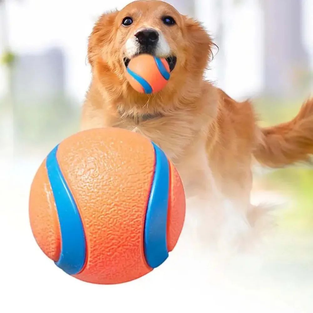 KFX-5279293 Durable Rubber Inflatable Ball for Dogs and Cats - Chew Toy in Orange, 5cm & 6cm Sizes