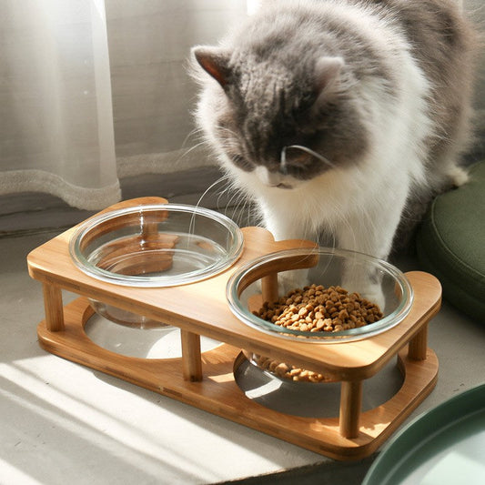 KFX-5282621 Elegant Glass Cat Bowls - Single & Double Designs Available, Various Sizes