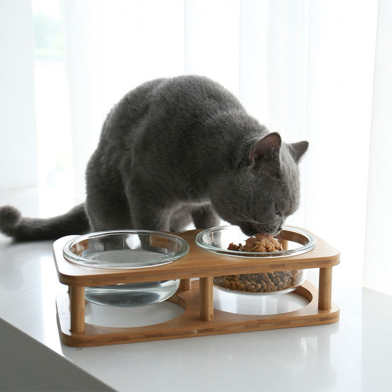 KFX-5282621 Elegant Glass Cat Bowls - Single & Double Designs Available, Various Sizes