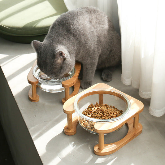 KFX-5282621 Elegant Glass Cat Bowls - Single & Double Designs Available, Various Sizes