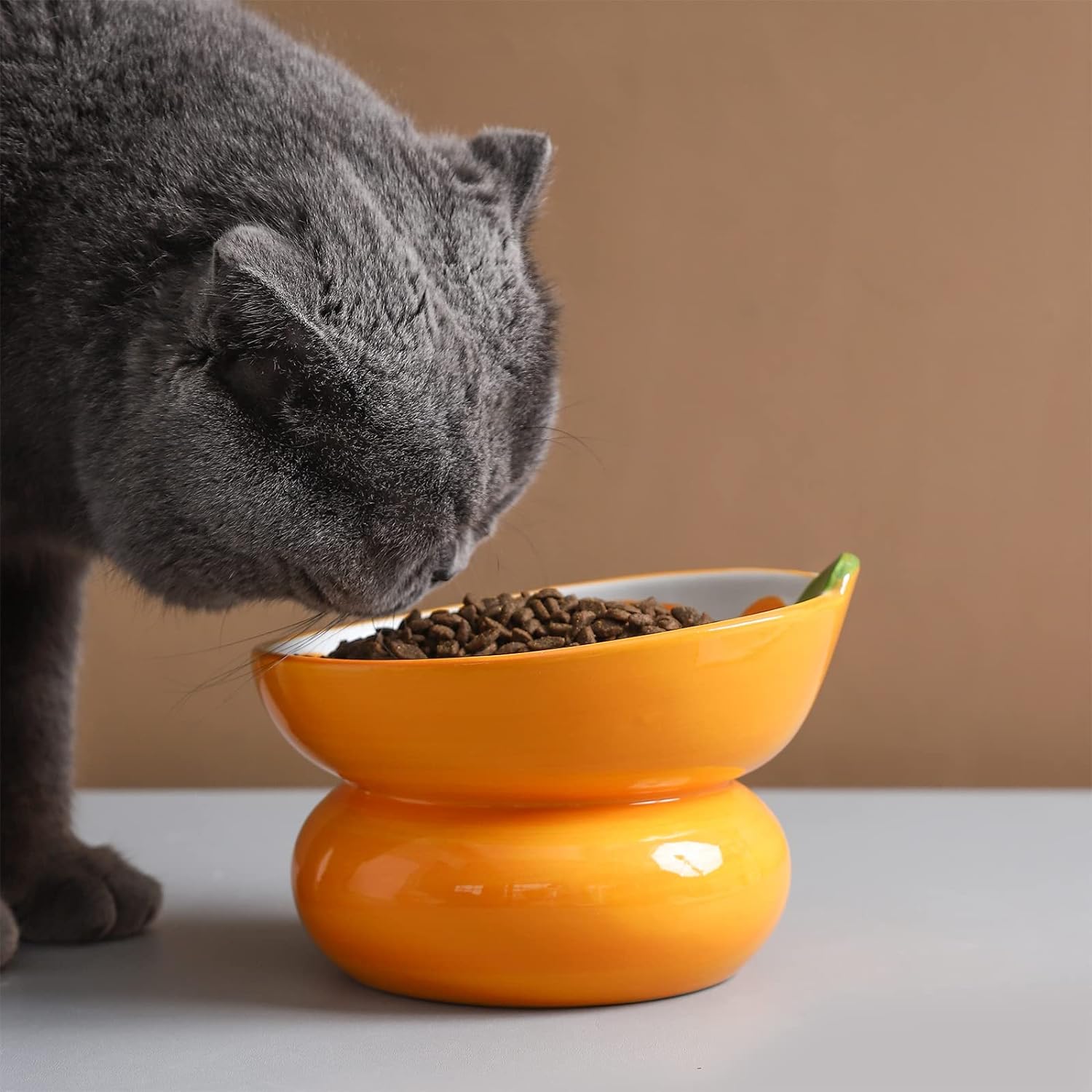 KFX-5289661 Elevated Pink Ceramic Cat Food Bowl with Anti-Vomiting Design and Spinal Support