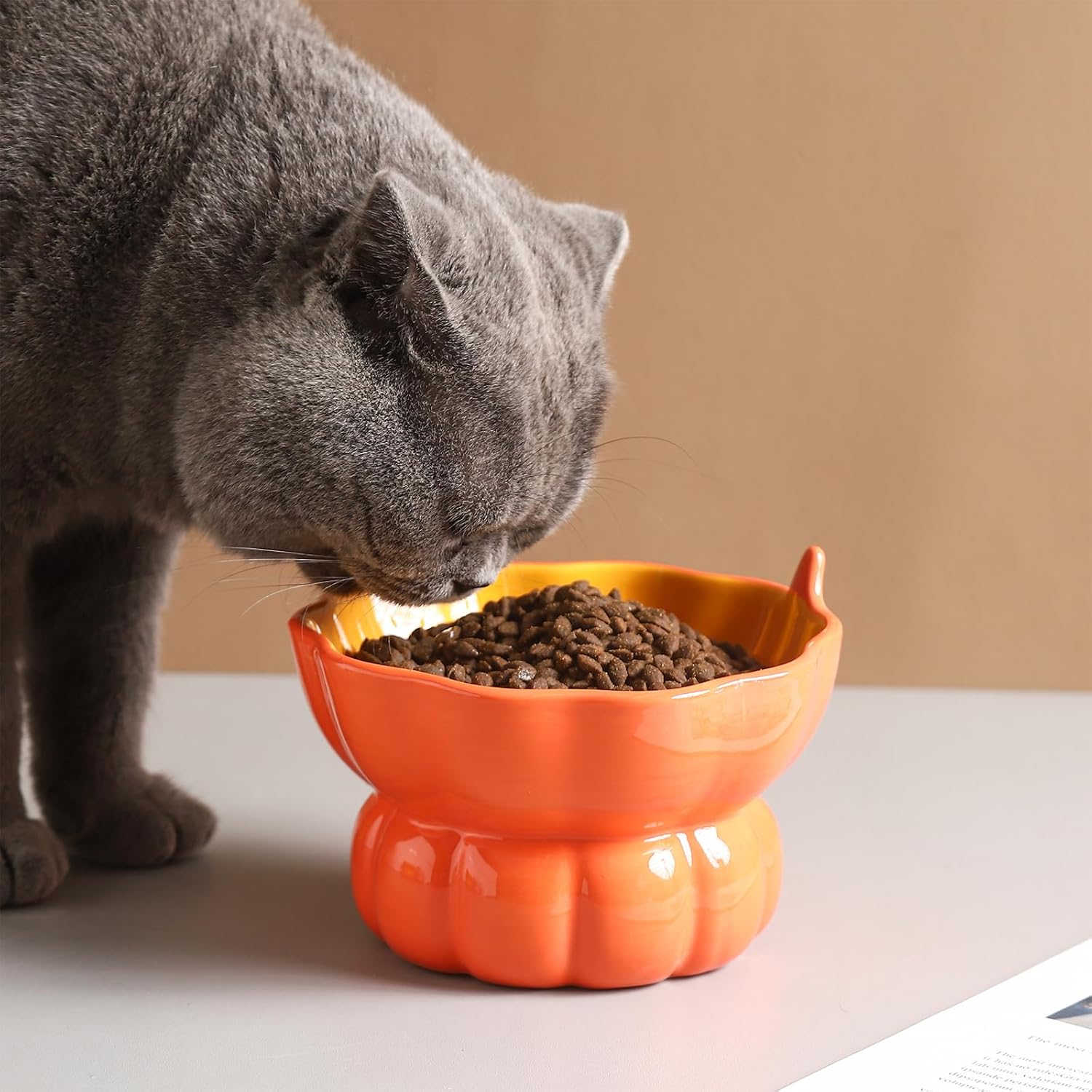 KFX-5289661 Elevated Pink Ceramic Cat Food Bowl with Anti-Vomiting Design and Spinal Support