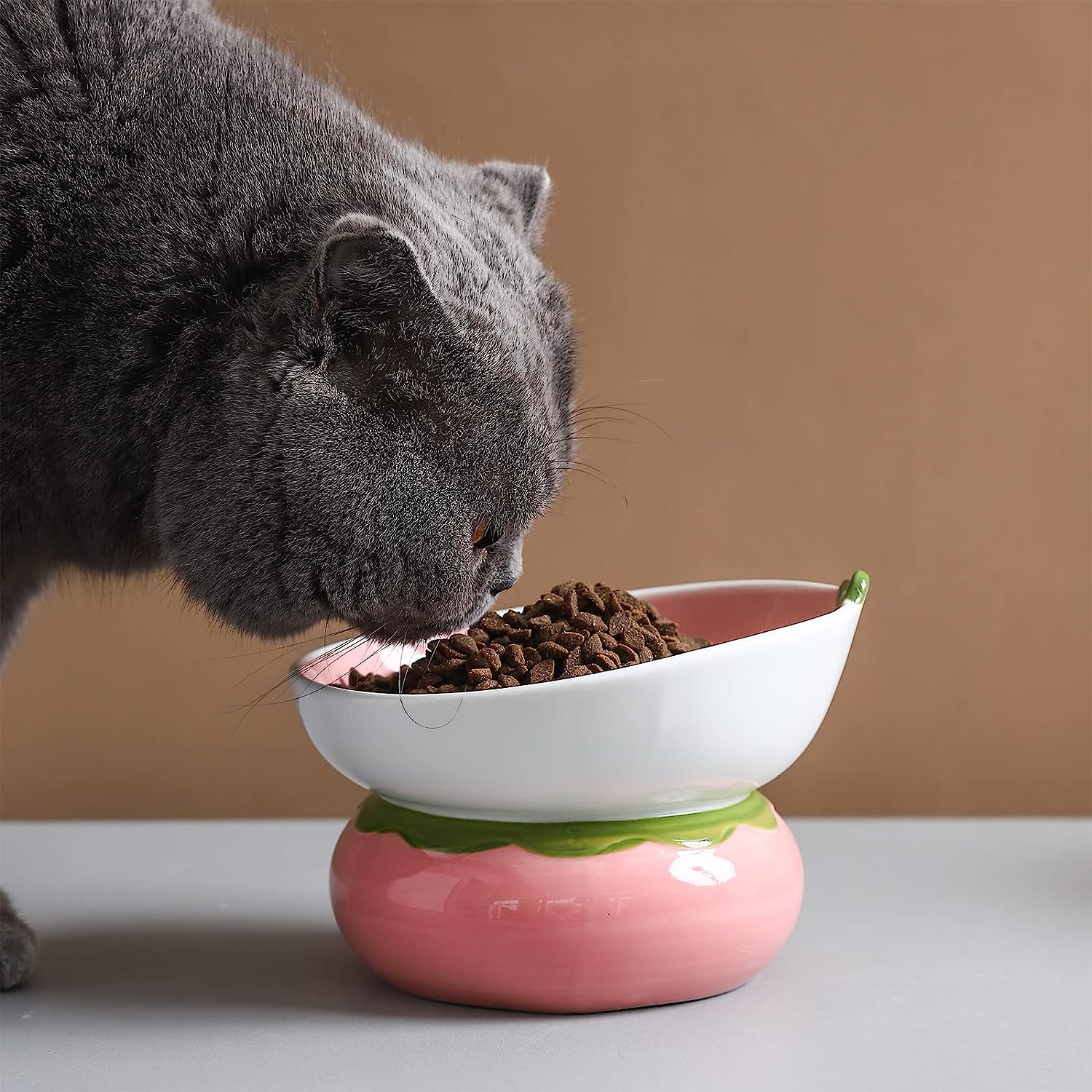 KFX-5289661 Elevated Pink Ceramic Cat Food Bowl with Anti-Vomiting Design and Spinal Support