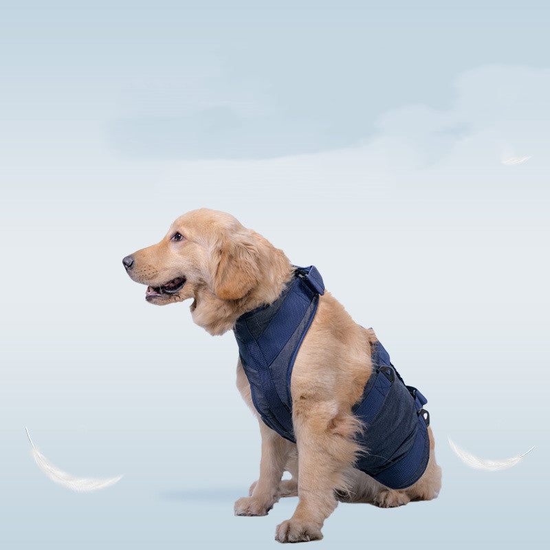 KFX-5291453 Durable Oxford Cloth Pet Dog Leash - Scalable Sizes XS to XL
