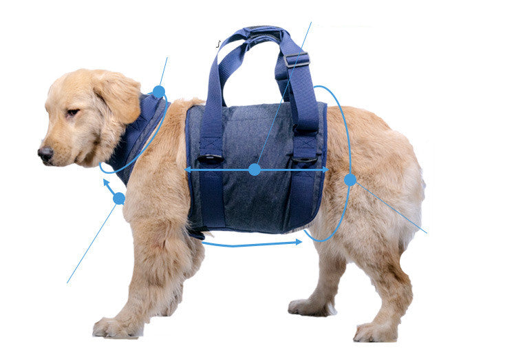 KFX-5291453 Durable Oxford Cloth Pet Dog Leash - Scalable Sizes XS to XL