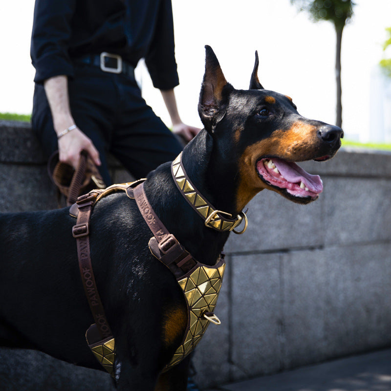 KFX-5297213 Sequined Leather Dog Vest with Traction Rope - Multiple Color Options Available