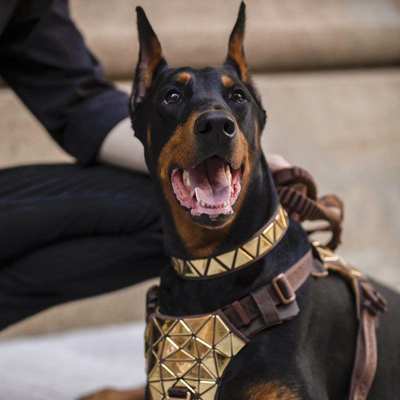 KFX-5297213 Sequined Leather Dog Vest with Traction Rope - Multiple Color Options Available