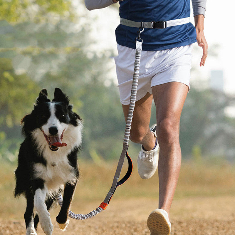 KFX-5297725 Outdoor Running Dog Leash - Adjustable Polyester with Foam Grip, Multiple Colors Available