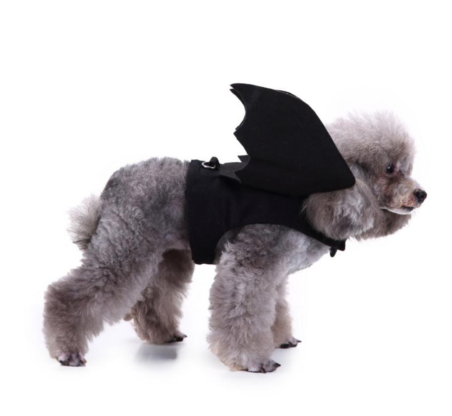 KFX-5302077 Dog Spider Costume for Pets - Unique Design, Multiple Sizes Available
