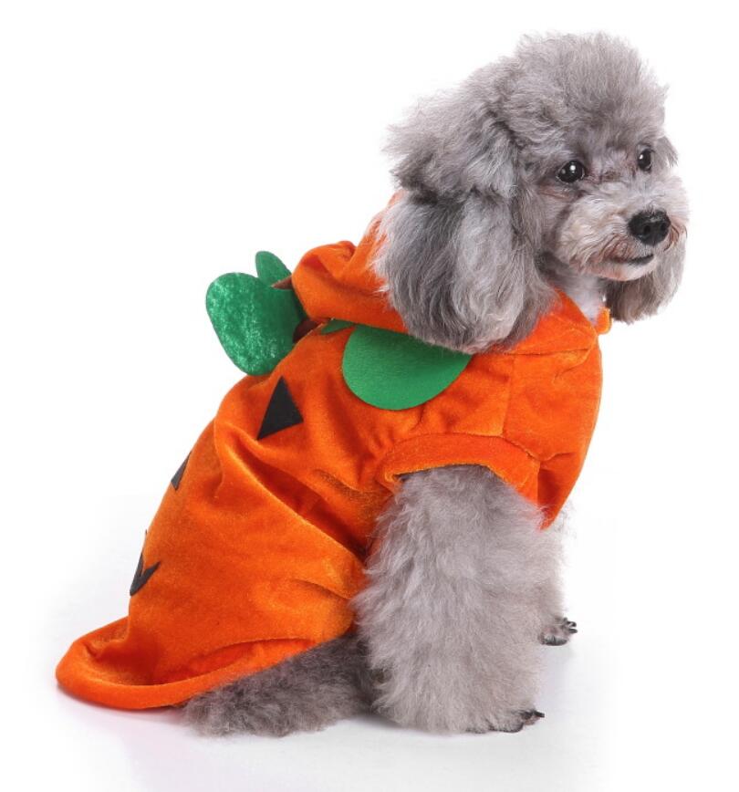 KFX-5302077 Dog Spider Costume for Pets - Unique Design, Multiple Sizes Available