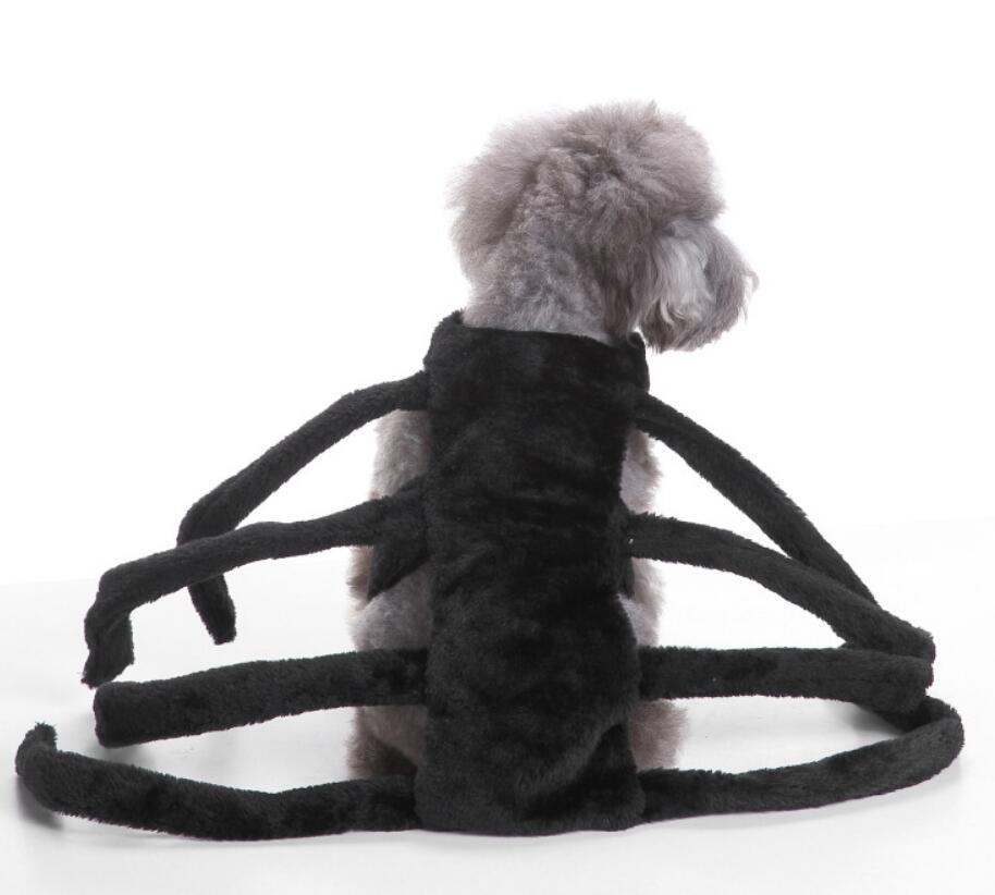 KFX-5302077 Dog Spider Costume for Pets - Unique Design, Multiple Sizes Available