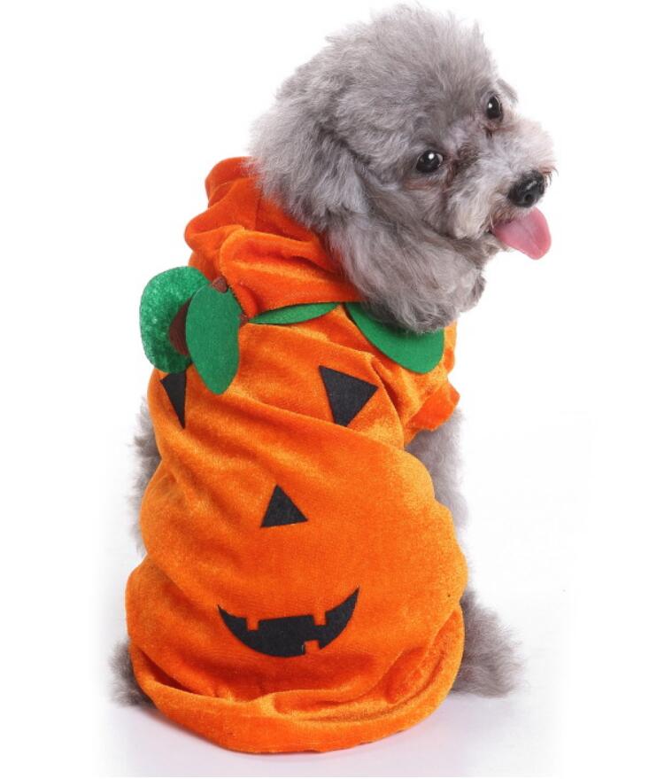 KFX-5302077 Dog Spider Costume for Pets - Unique Design, Multiple Sizes Available