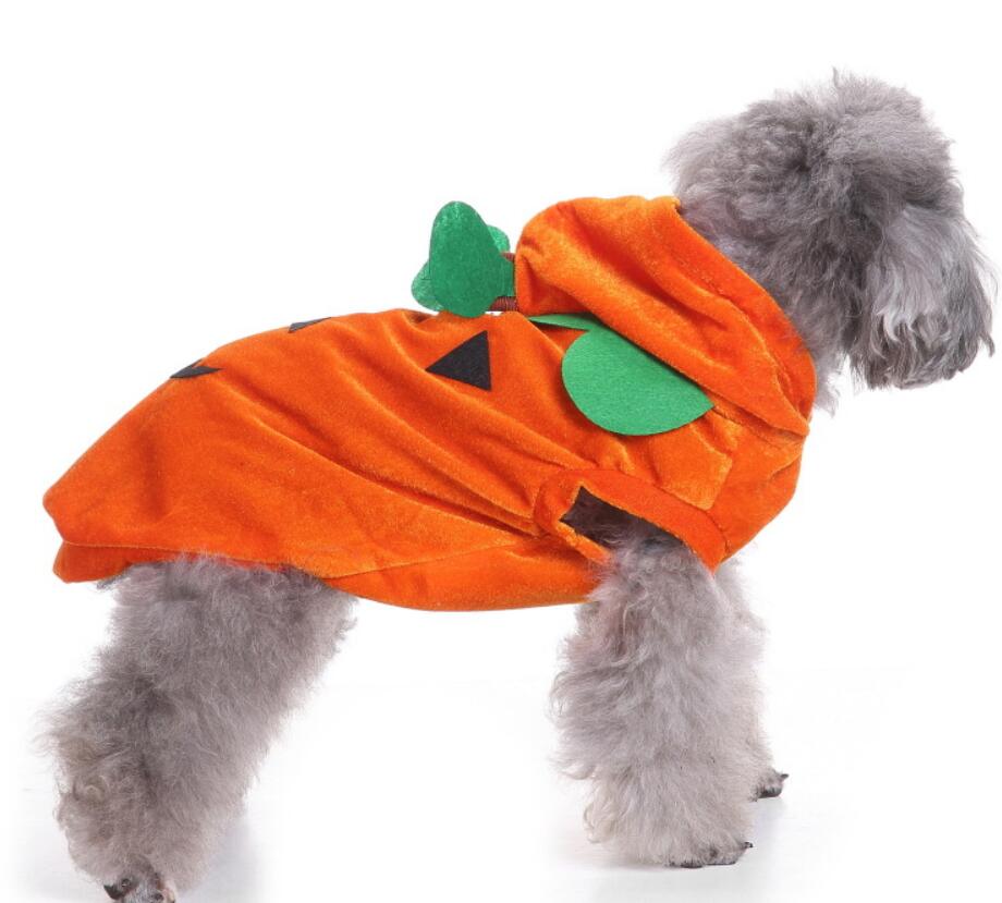 KFX-5302077 Dog Spider Costume for Pets - Unique Design, Multiple Sizes Available