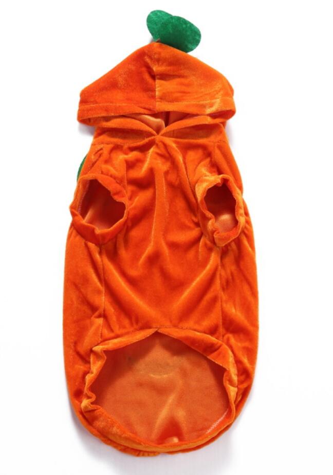 KFX-5302077 Dog Spider Costume for Pets - Unique Design, Multiple Sizes Available