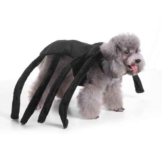 KFX-5302077 Dog Spider Costume for Pets - Unique Design, Multiple Sizes Available
