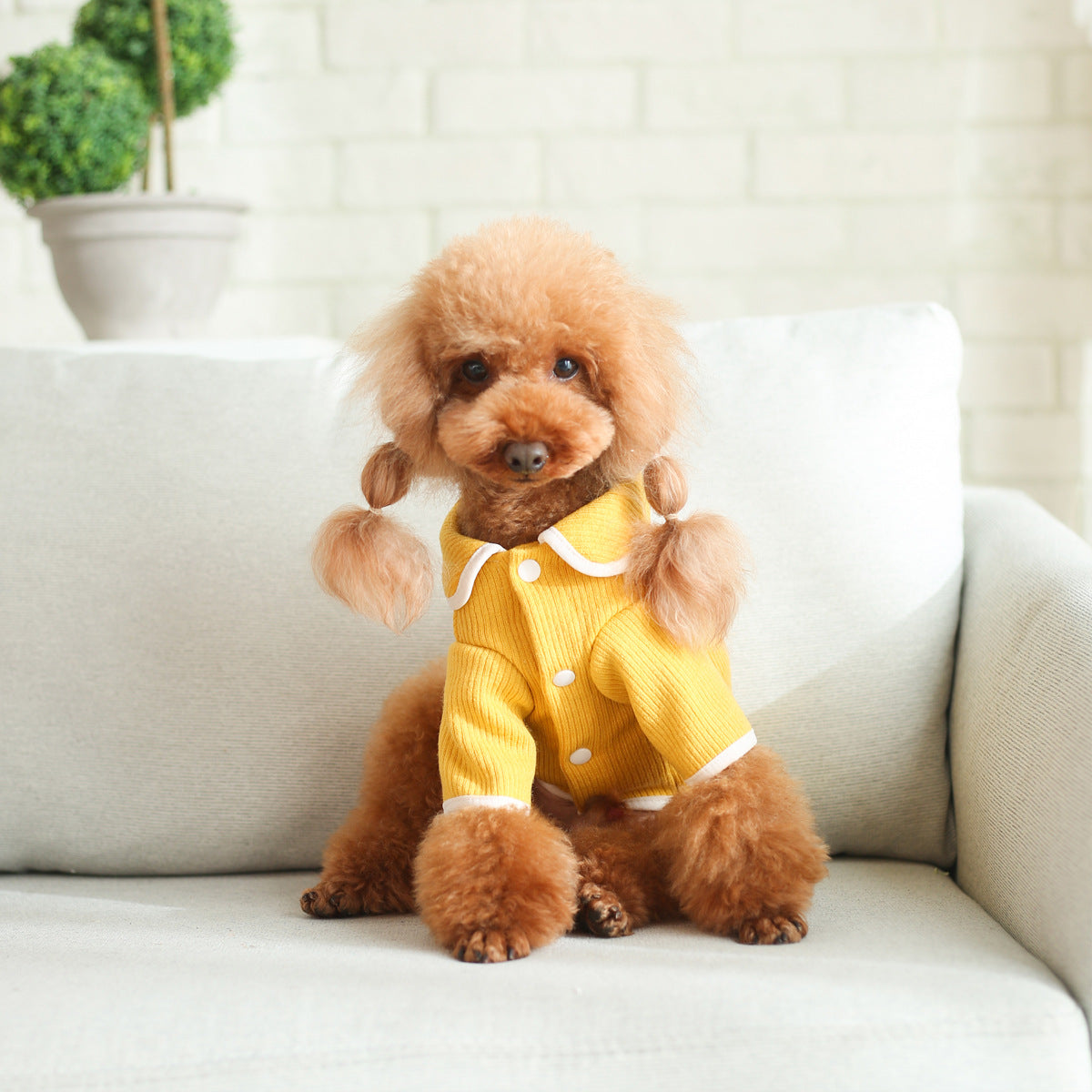 KFX-5304253 Warm Fleece Sweater with Doll Collar for Dogs and Cats