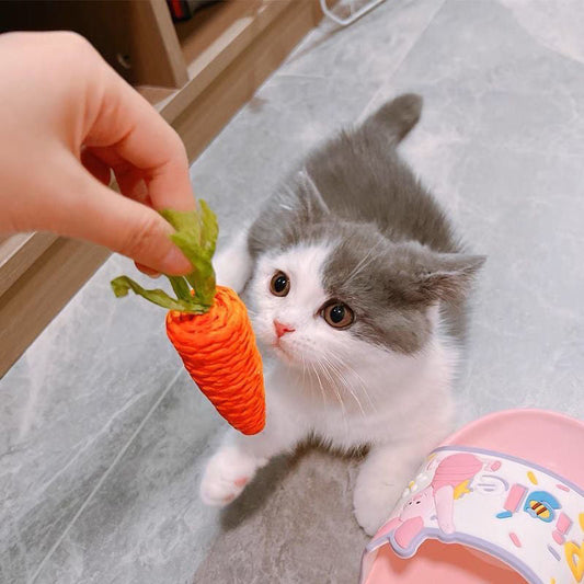 KFX-5304509 Carrot-Shaped Cat Scratch Board for Kittens - Molar Toy Made from Paper