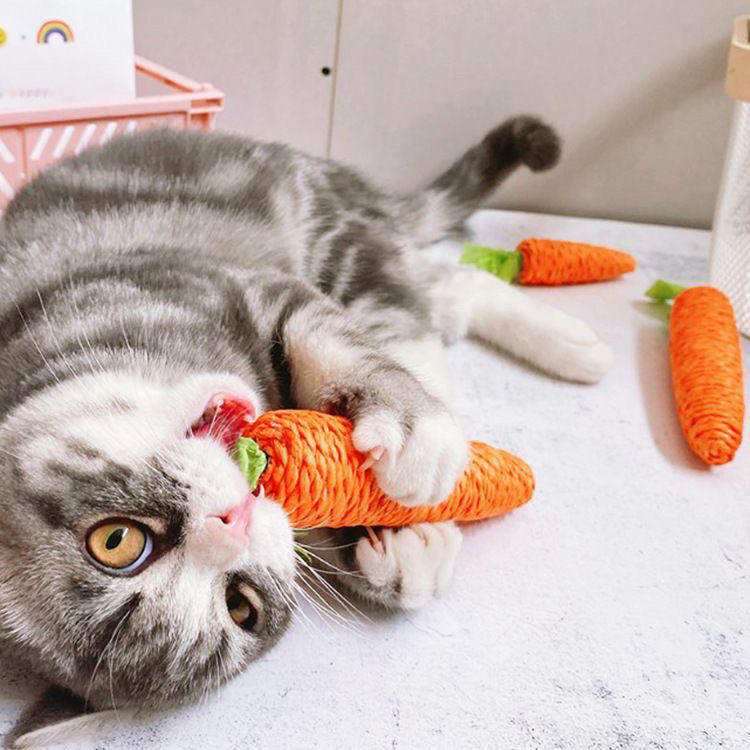 KFX-5304509 Carrot-Shaped Cat Scratch Board for Kittens - Molar Toy Made from Paper