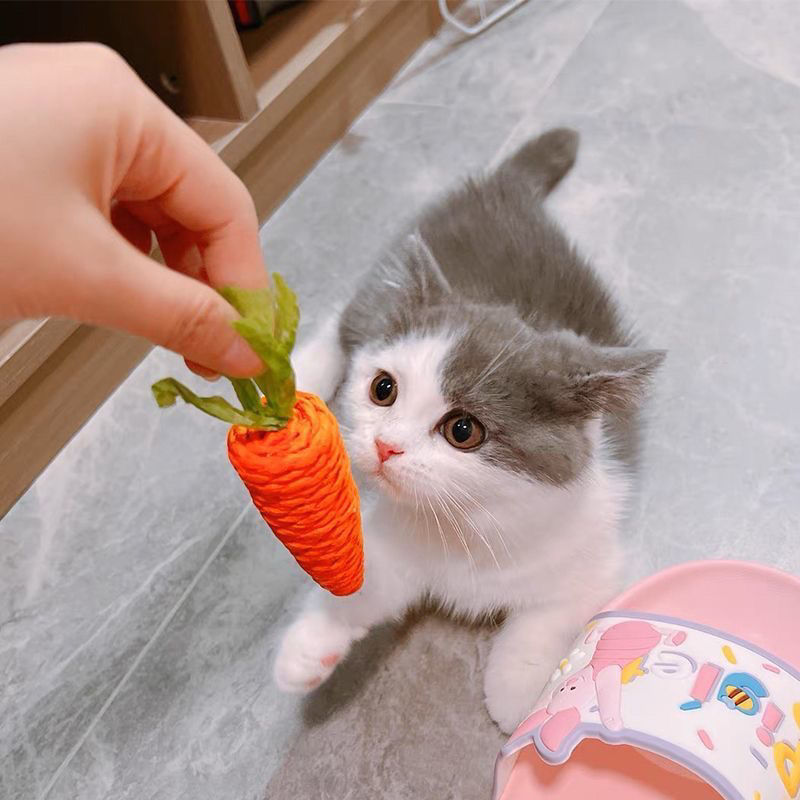 KFX-5304509 Carrot-Shaped Cat Scratch Board for Kittens - Molar Toy Made from Paper