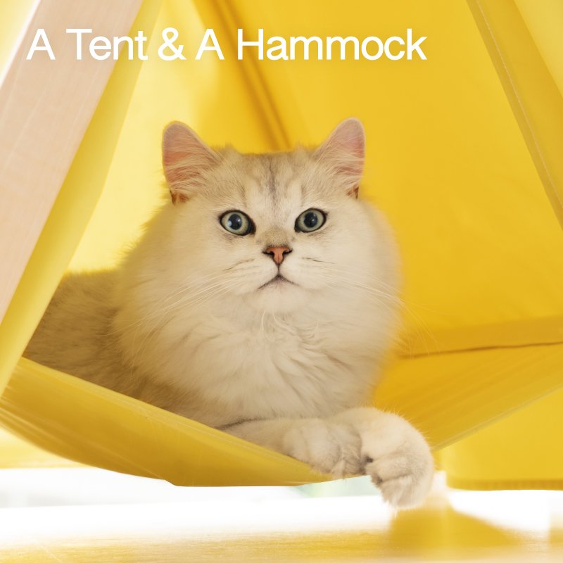 KFX-5305277 Pet Tent for Cats - Breathable, Waterproof & Scratch Resistant Outdoor Shelter