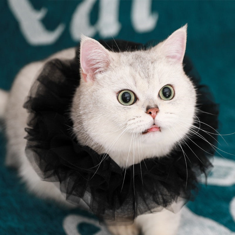 KFX-5305661 Royal Pet Cat Cape with Lace Collar and Crown - Red, Black, Green, White Sizes S & M